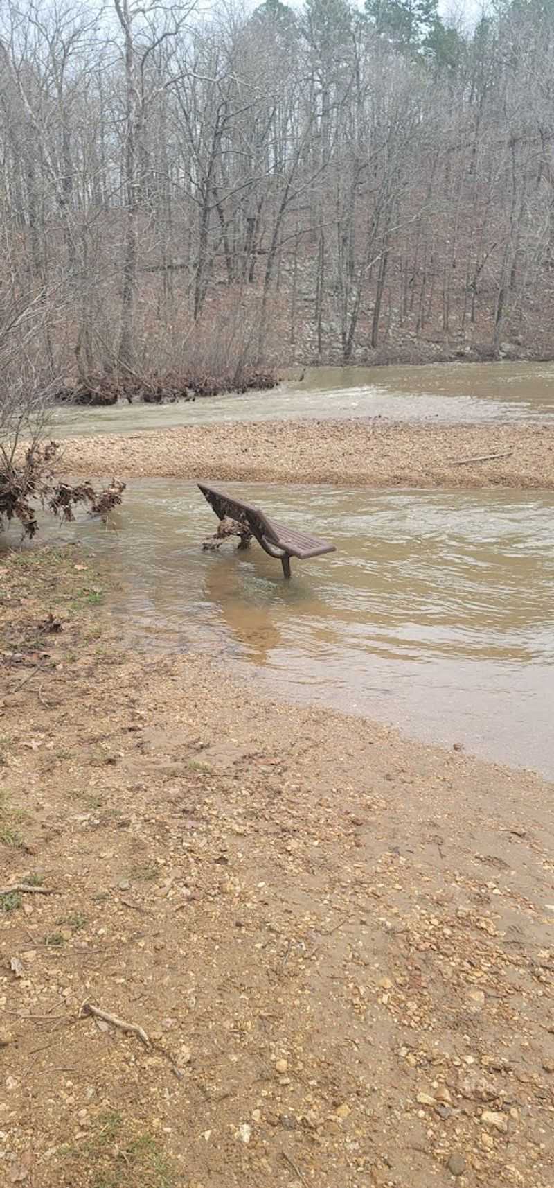 Local Wildlife Inhabiting The Scenic Areas