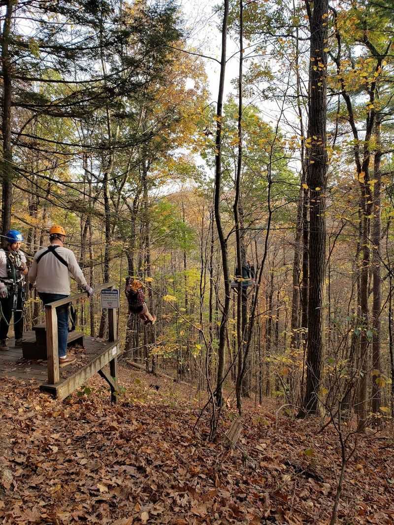 An Immersion In Wild Massachusetts