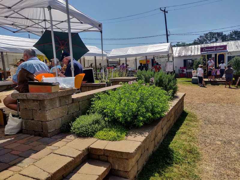 Live Music And Local Energy Fill The Air
