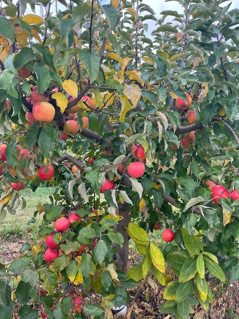 PM Family Farms