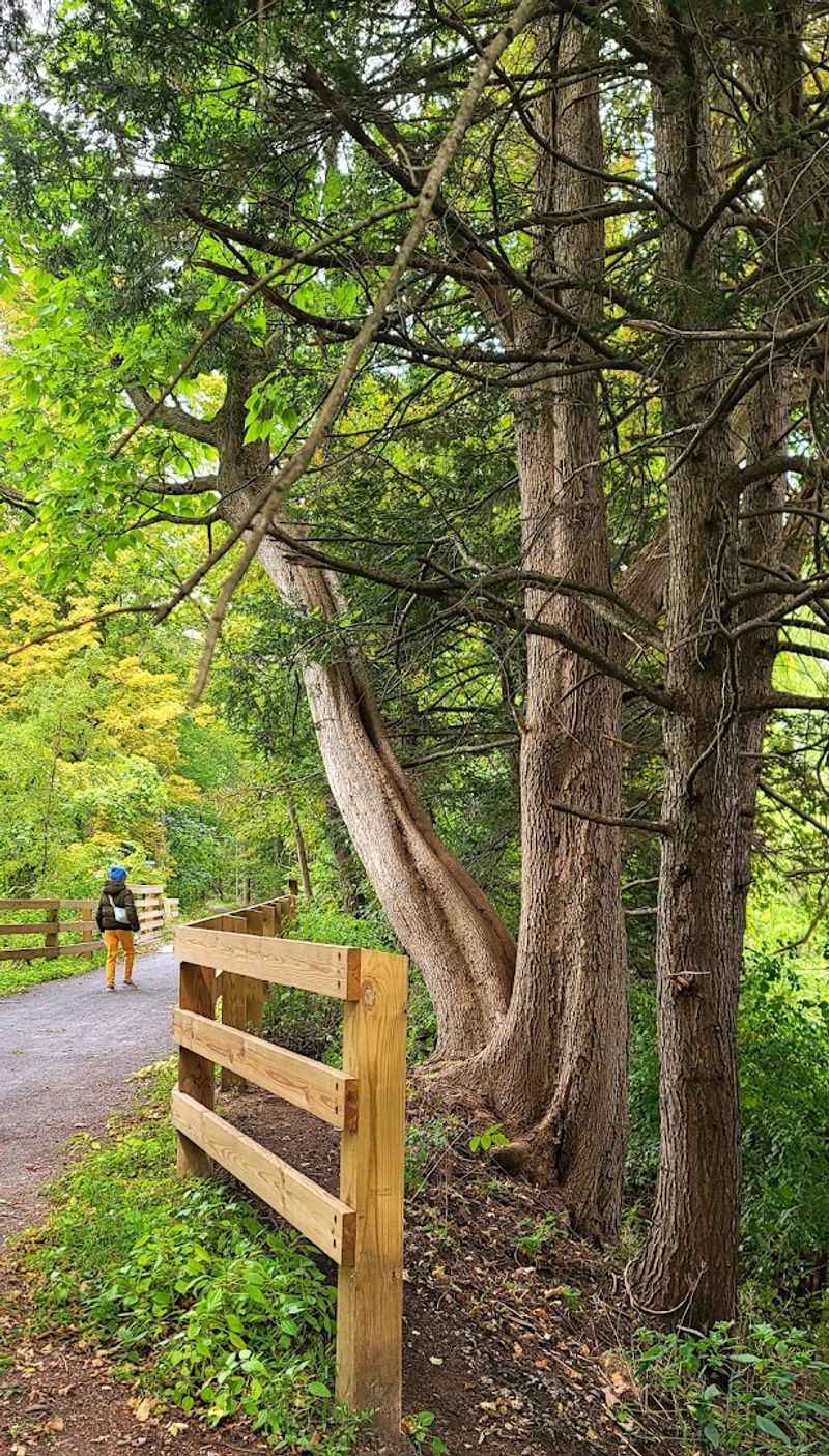 Wildlife, Wildflowers, And Wide Open Miles