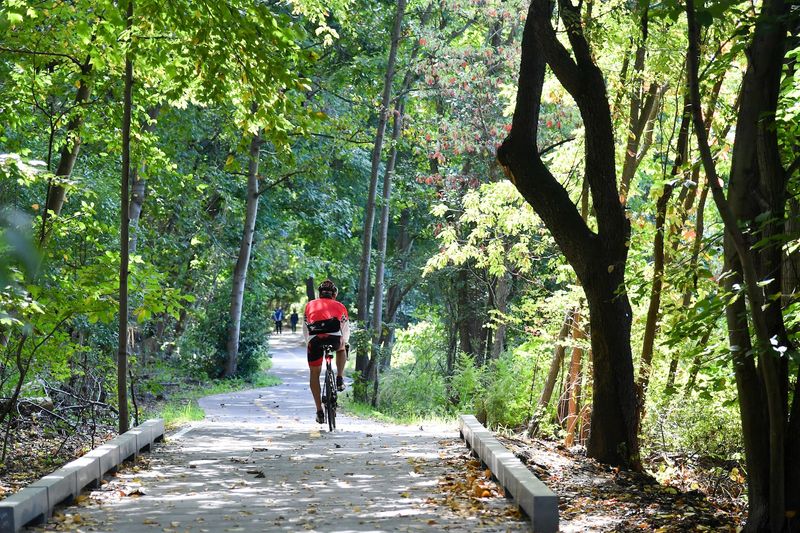 Van Cortlandt Park, Bronx