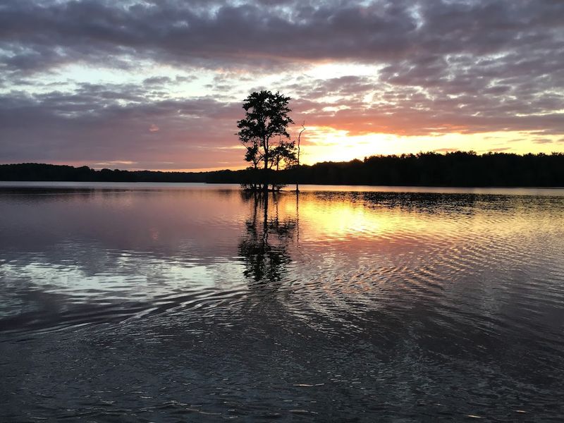 Morning Light Turns Calm Water Into A Mirror