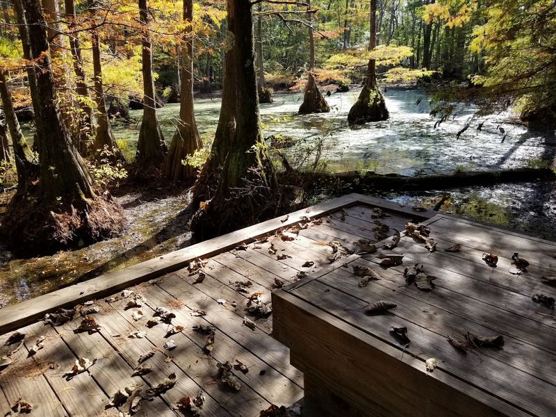 Photographing Natural Landscapes In Mississippi