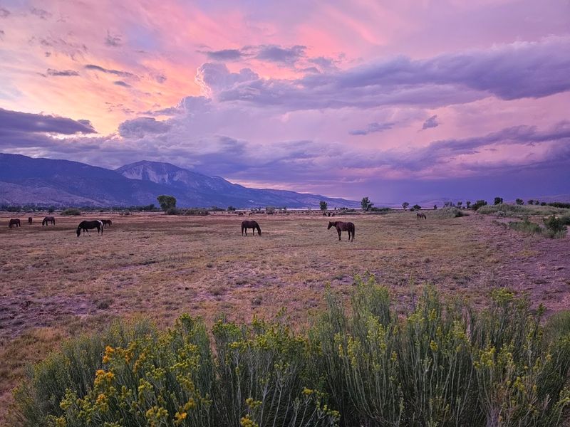 The Washoe People Came Long Before The Roads Did