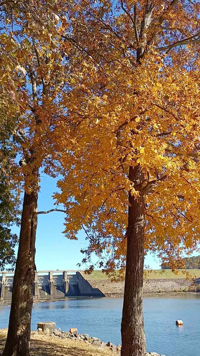 Every Season Brings A New Reason To Return