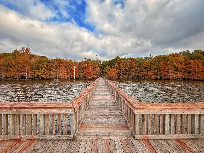 Lake D'Arbonne State Park, Farmerville, Louisiana