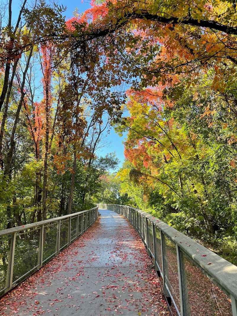 Lower Neponset River Trail, Boston, Massachusetts