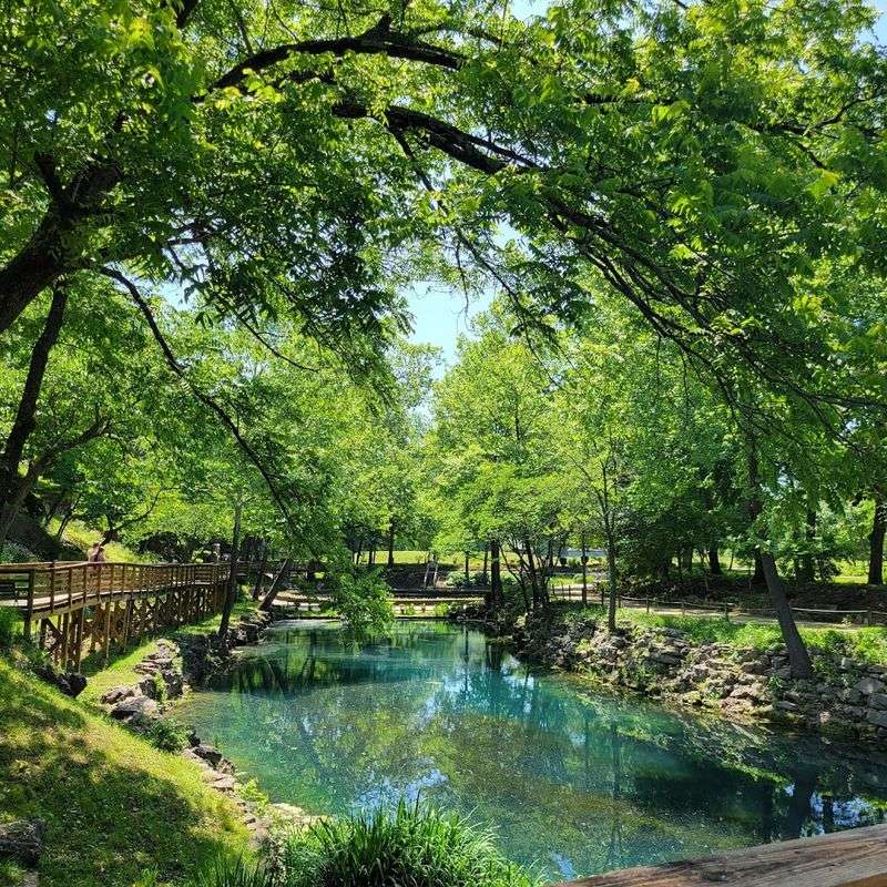 The Water Collects In A Trout-Filled Lagoon