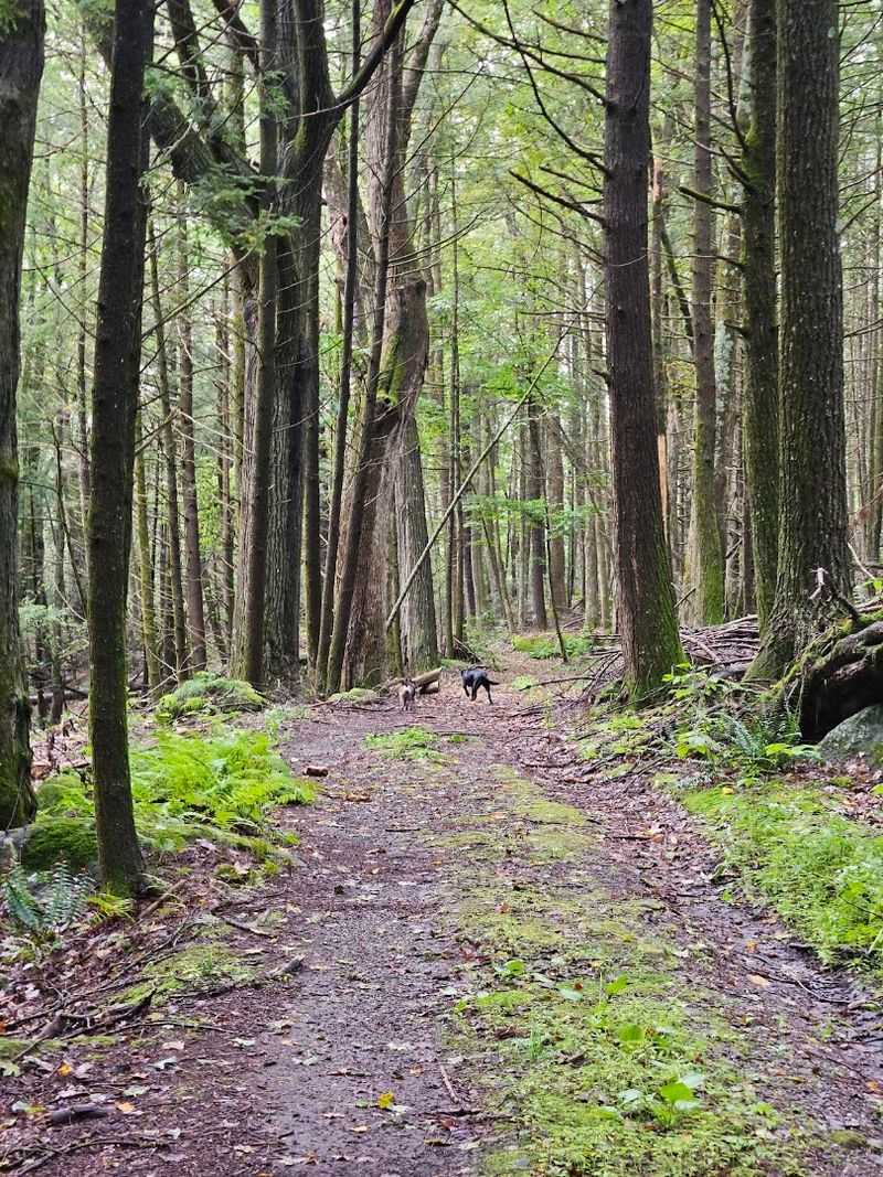 Catamount State Forest, Colrain