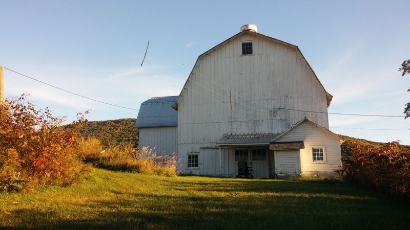 The Art Of Slowing Down: What Hobart Actually Teaches You