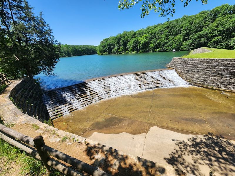 Montgomery Bell State Park, Burns