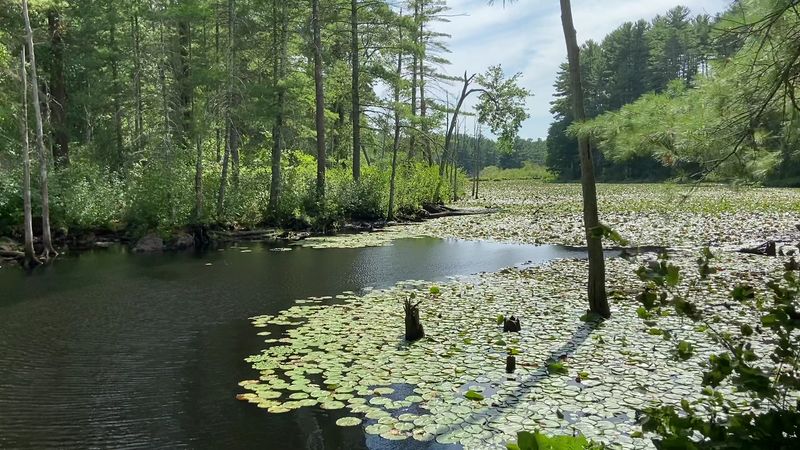 Great Brook Farm State Park