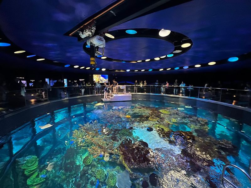 New England Aquarium, Boston