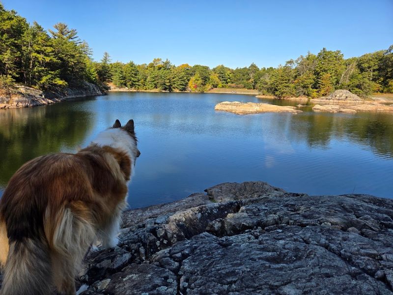 Middlesex Fells Reservation, Stoneham