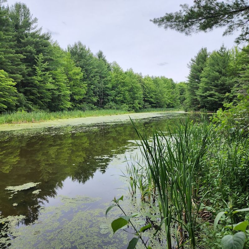 Otter Lake County Park