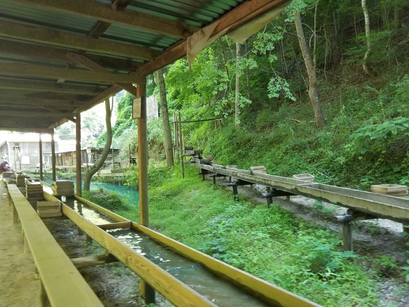 The Appalachian Setting Provides Natural Shade And Scenery
