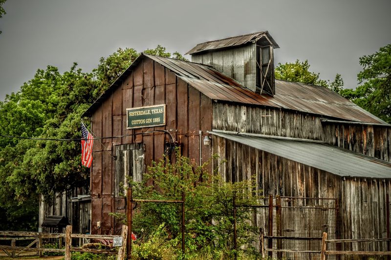 Sisterdale, Texas