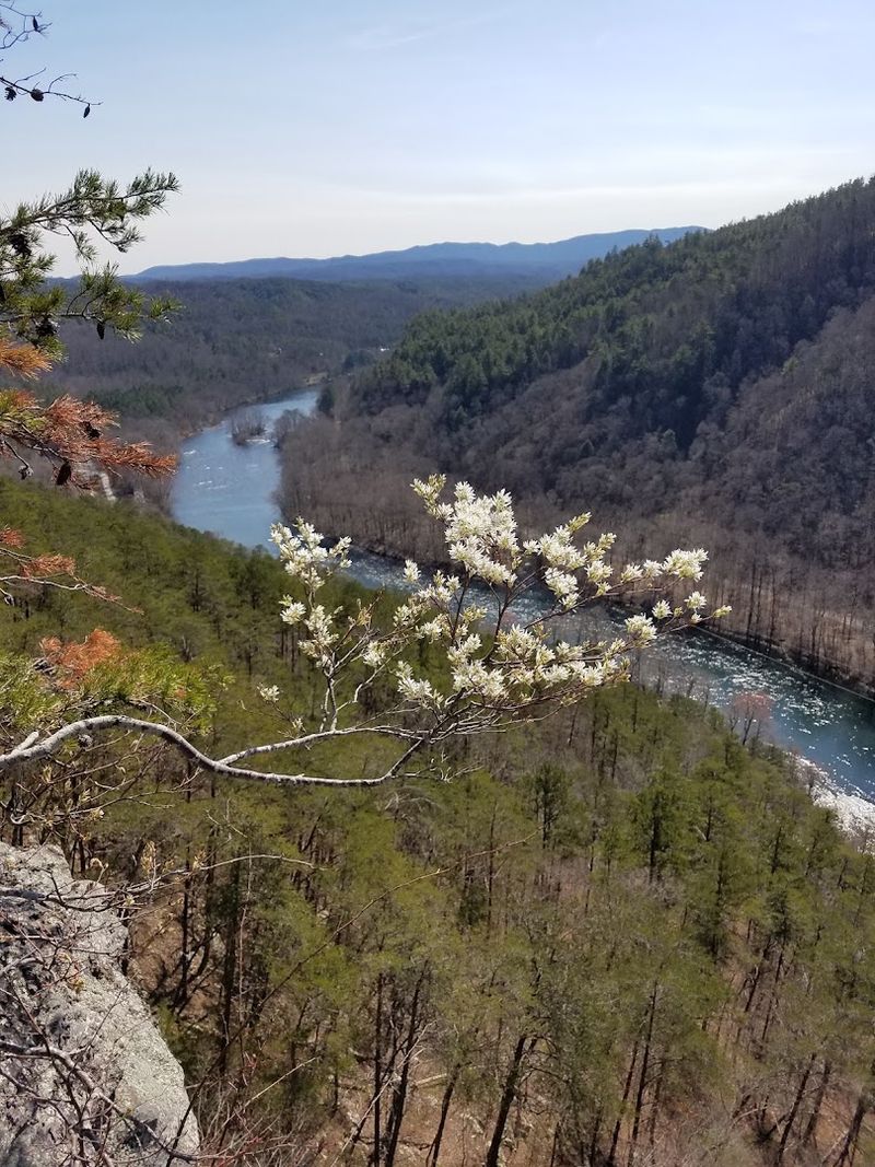 Starr Mountain, Etowah