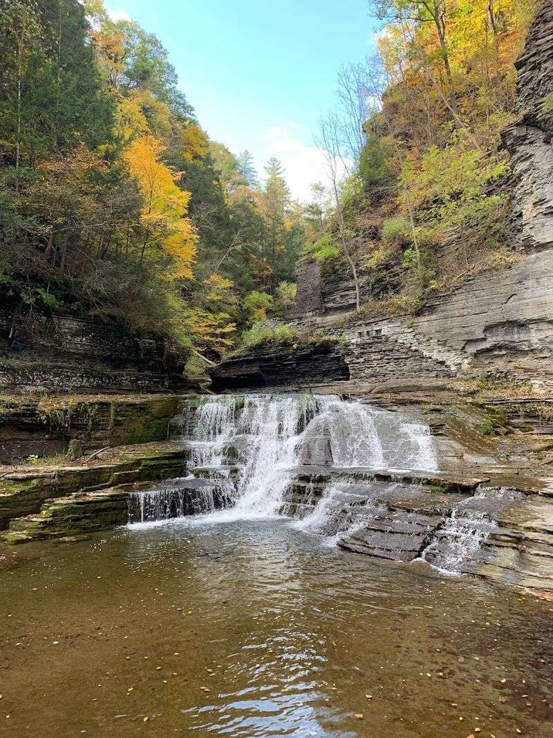 Robert H. Treman State Park