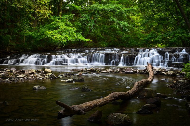 Corbett's Glen Nature Park