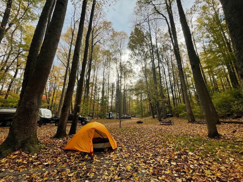 Elkmont Campground, Gatlinburg