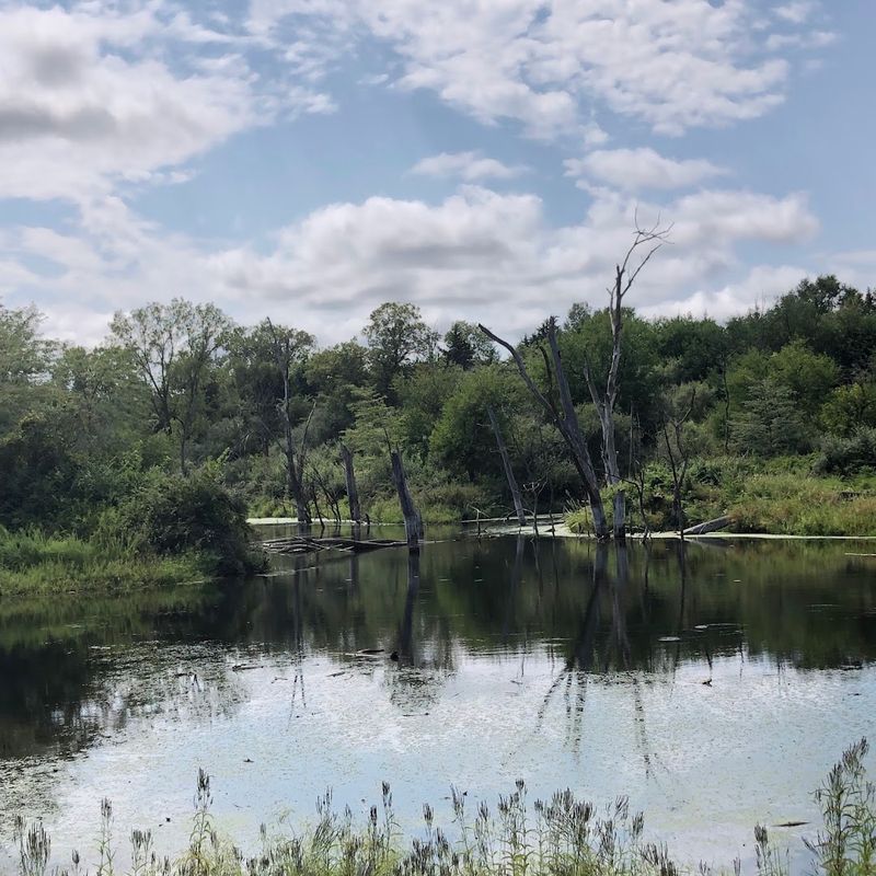 Wildlife Watching Opportunities