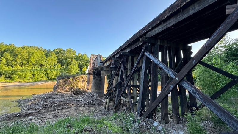 Preservation Efforts And Conservation Importance