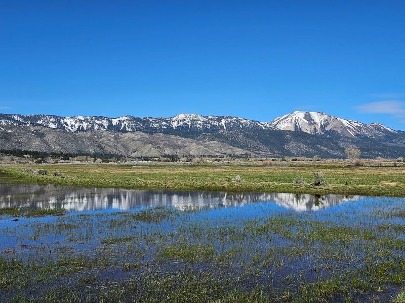 Birdwatching That Will Blow You Away