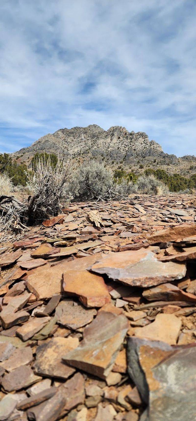 The Geology Behind The Ancient Seafloor You Are Standing On
