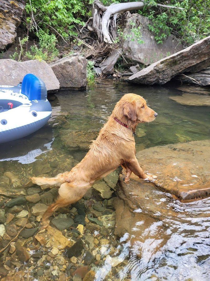 Trails That Go Deep Into The Wild