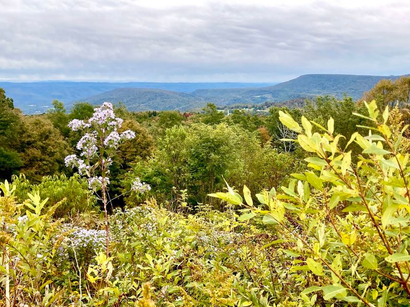 Seasonal Splendor And Planning Tips
