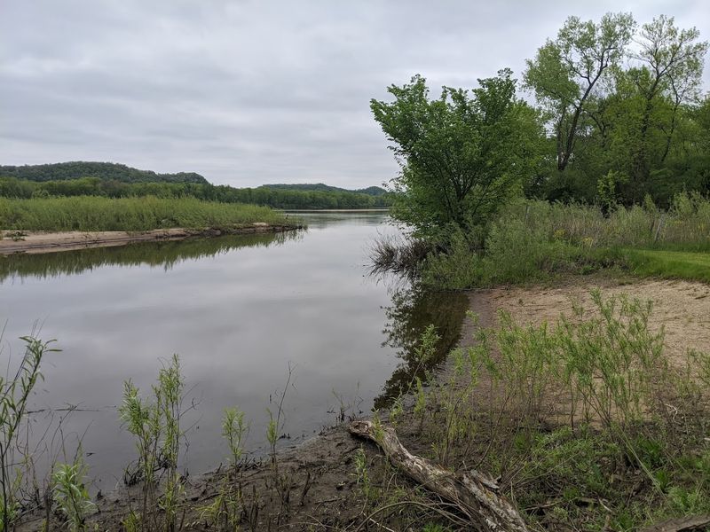 Fishing Opportunities Along The River