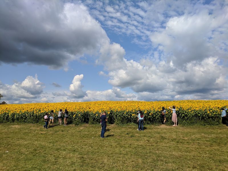 Colby Farm