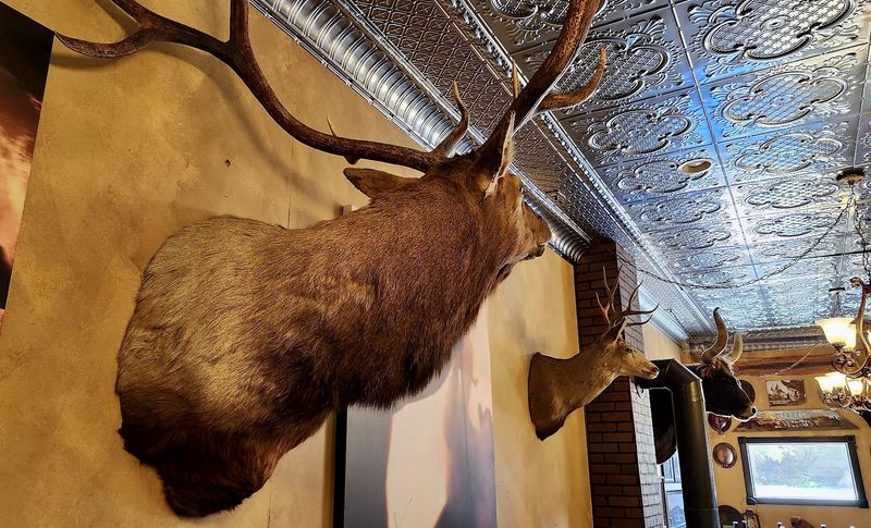 Serving Traditions That Highlight Classic Steakhouse Charm