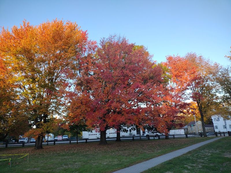 Nornay Park And Barre Players Theater