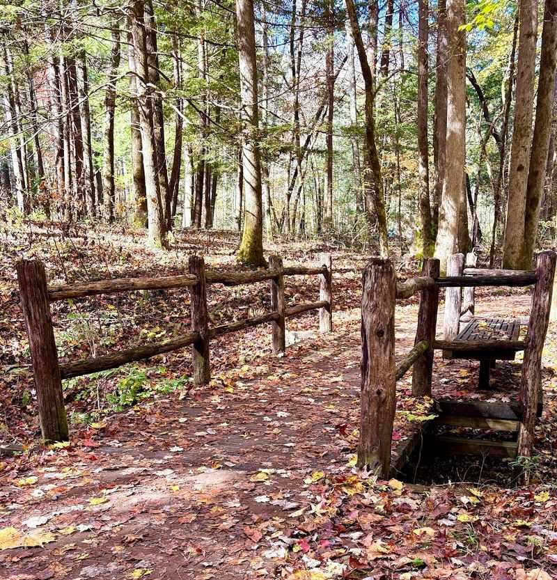 Sugarlands Valley Nature Trail, Great Smoky Mountains National Park