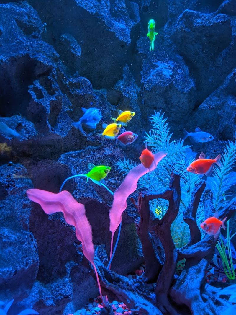 One World Interactive Aquarium