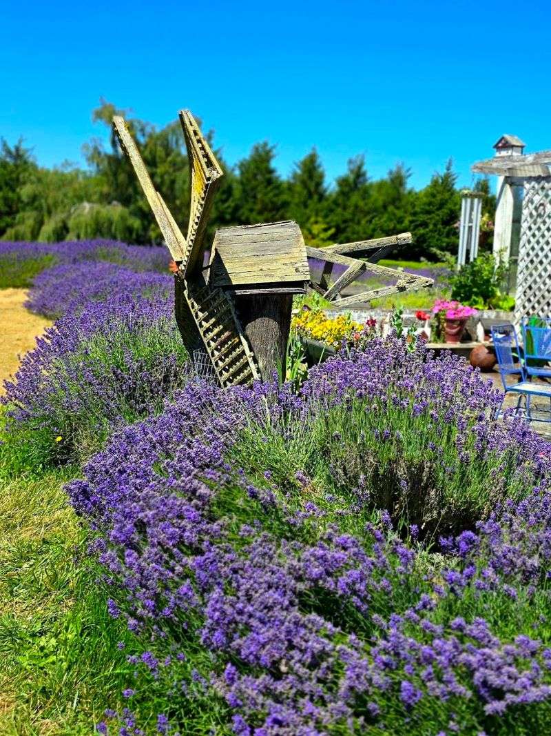 The Buzz of a Thousand Busy Bees