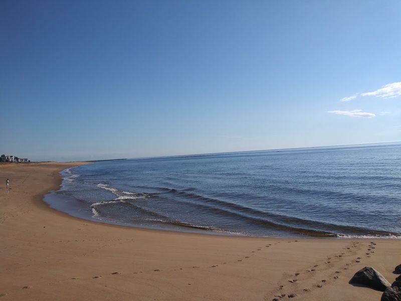 Plum Island