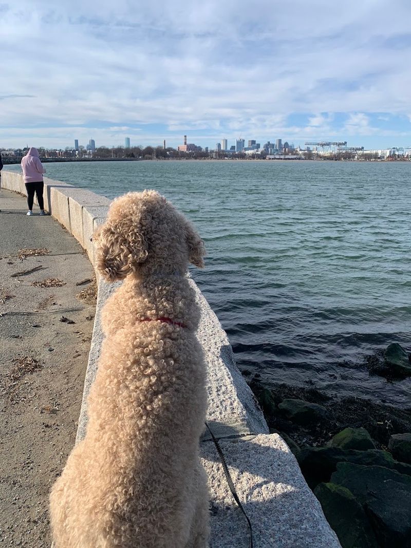 Castle Island - Boston, MA