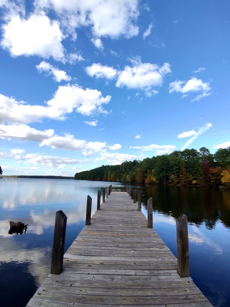 Lake Claiborne State Park, Homer, Louisiana