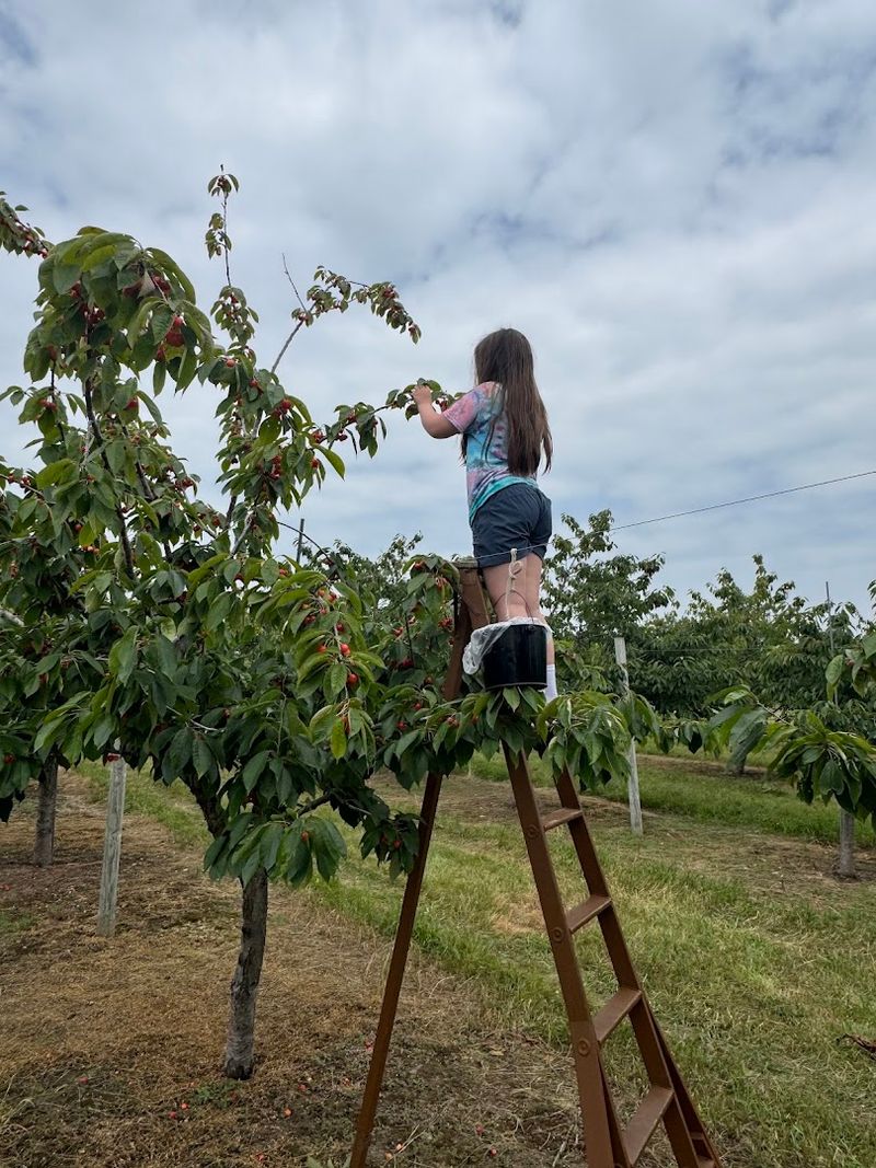 How The Picking Process Actually Works