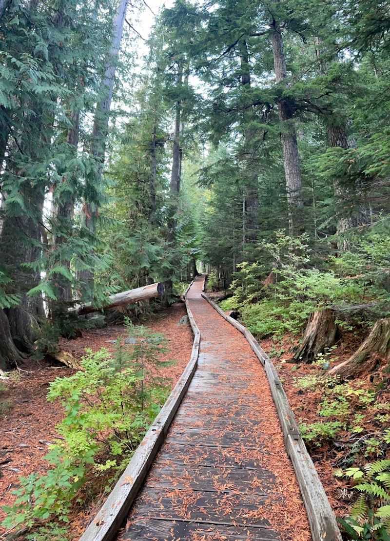 North Lake Picnic Area