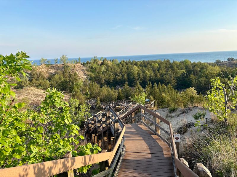 One Mile Of Trail Reveals Four Stages Of Dune Development