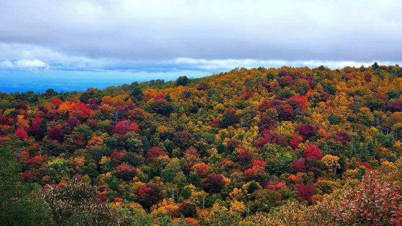 Cherokee National Forest, Cleveland