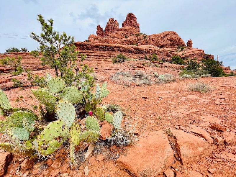 Red Rock State Park