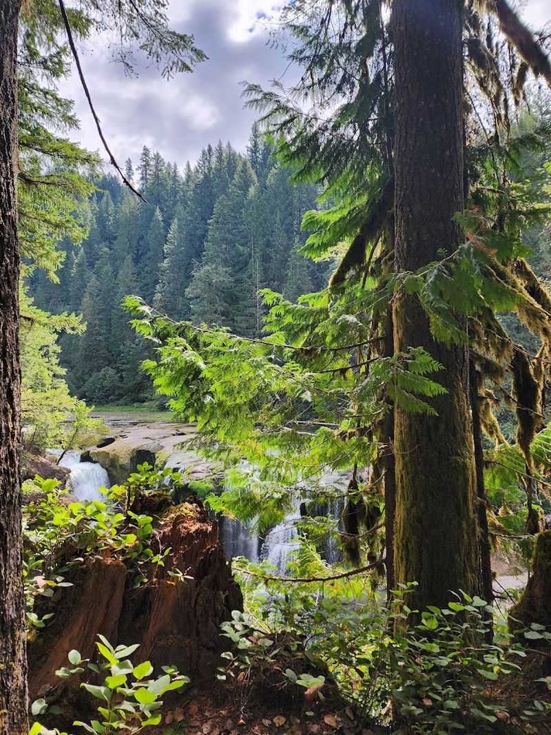 Wildlife You May Encounter Along The Path