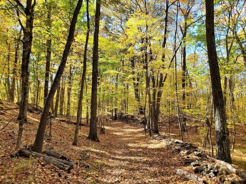 Ward Pound Ridge Reservation, Westchester County