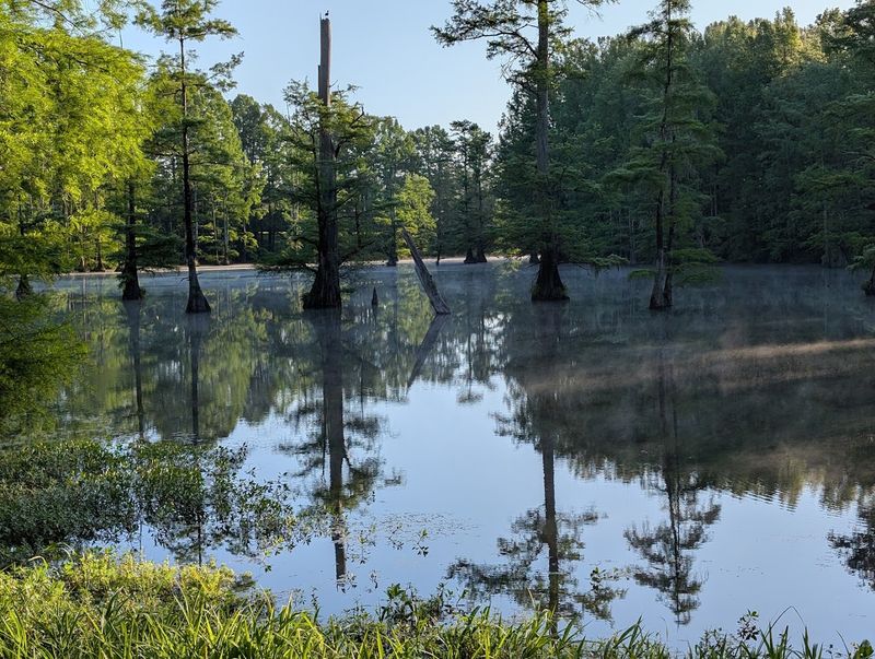 LeFleur's Bluff State Park